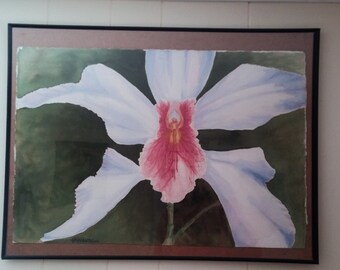 Original Watercolors Paintings Flowers Orchids Wall Art Tropical Gardens Fine Arts gifts for home