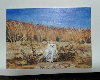 Snowy owls on Beach mini paintings oils Snapshots 5 x7 Landscape CT gifts home decor