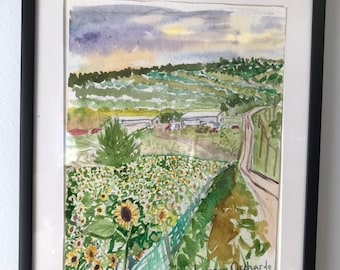 Sunflower fields at Lyman orchard CT watercolor painting