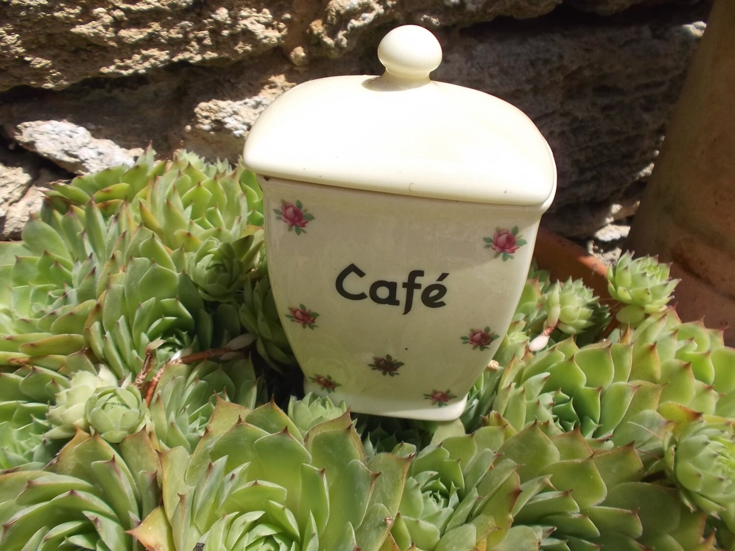 Jolie Petite Vintage Café Cafe Récipient Pot en Céramique. Tchèque. Sweet. 5 de Haut. 13 cm