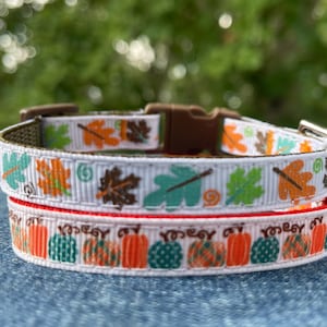 Pumpkin Patch, Autumn Leaves Thanksgiving/Fall Themed Cat & X-Small Dog Collar - Ready to Ship!