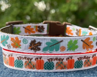 Pumpkin Patch, Autumn Leaves Thanksgiving/Fall Themed Cat & X-Small Dog Collar - Ready to Ship!