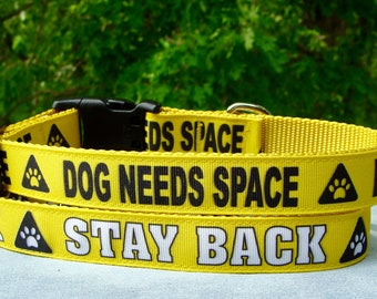 caution dog harness