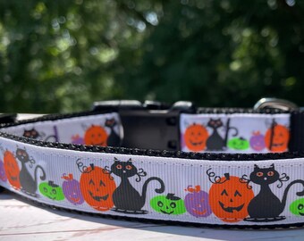 Black Cat Halloween Dog Collar Pumpkin Treat Buckets - READY TO SHIP!
