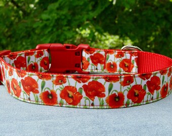 booda dome cleanstep cat box