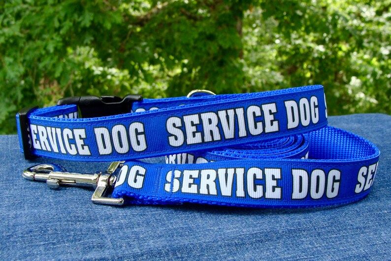 blue collar dog services