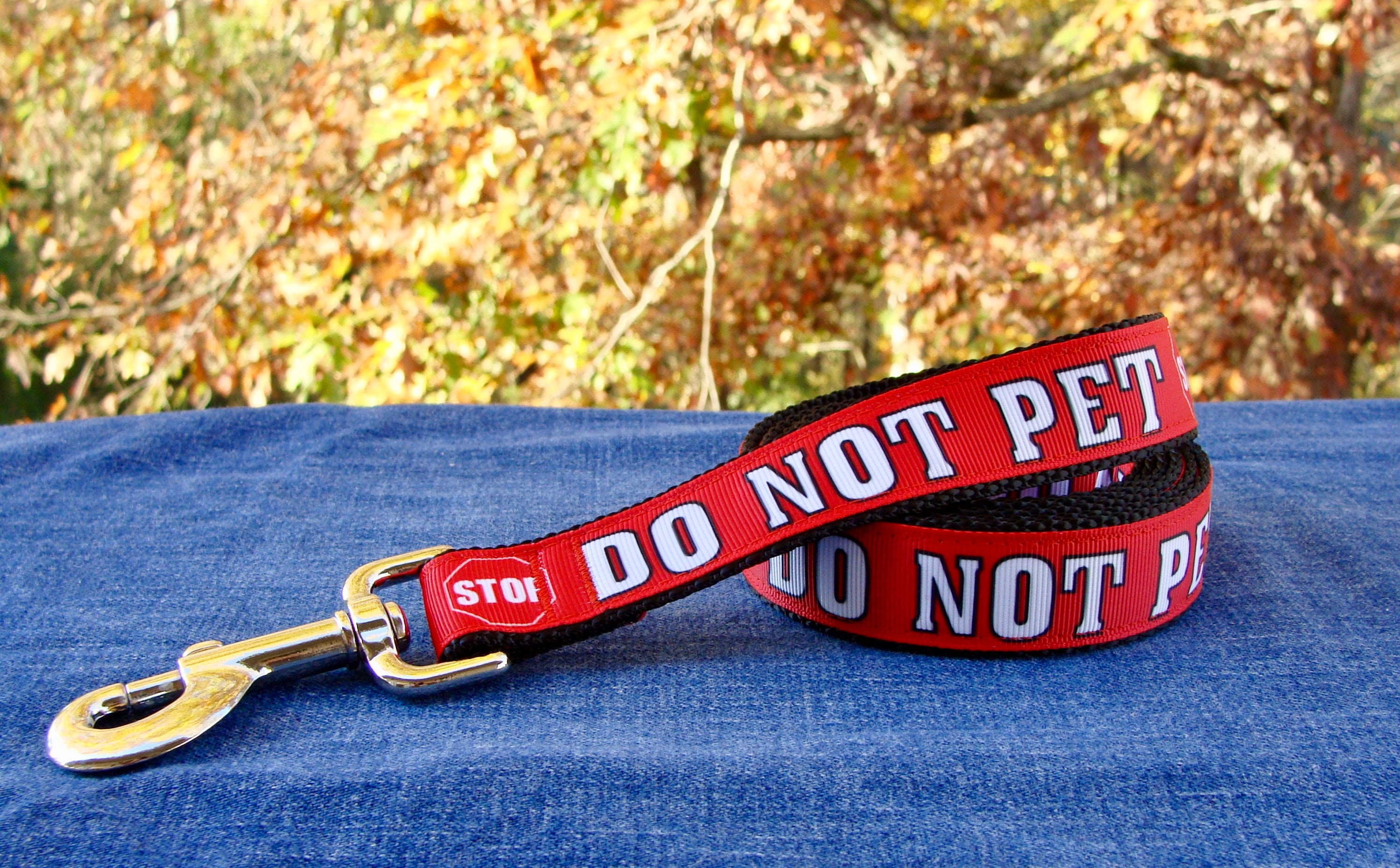 Stop Do Not Pet Red Dog Collar or Leash 5/8 Xsmall Etsy Ireland