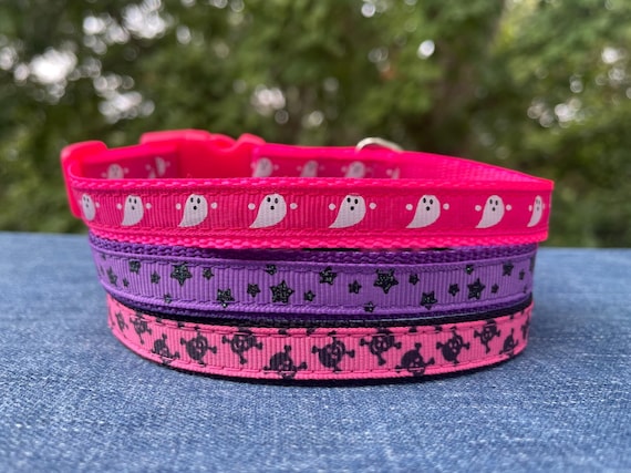 Pink Halloween Cat, Kitten and X-Small Dog Collar | Skull & Crossbones, Ghost, Purple Starry Night Glow in the Dark - Ready to Ship!