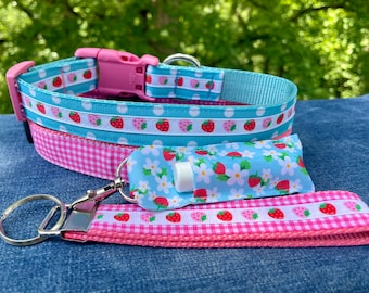 May include: A pink and blue dog collar with a strawberry print and a matching pink and white gingham leash with a key ring. The collar has a pink plastic buckle.