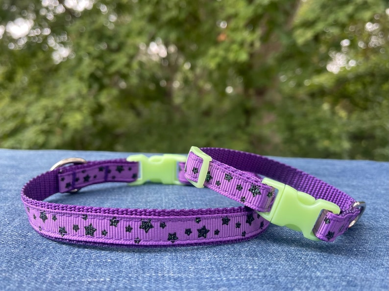 May include: Purple and lime green dog collar with black star print. The collar has a plastic buckle.