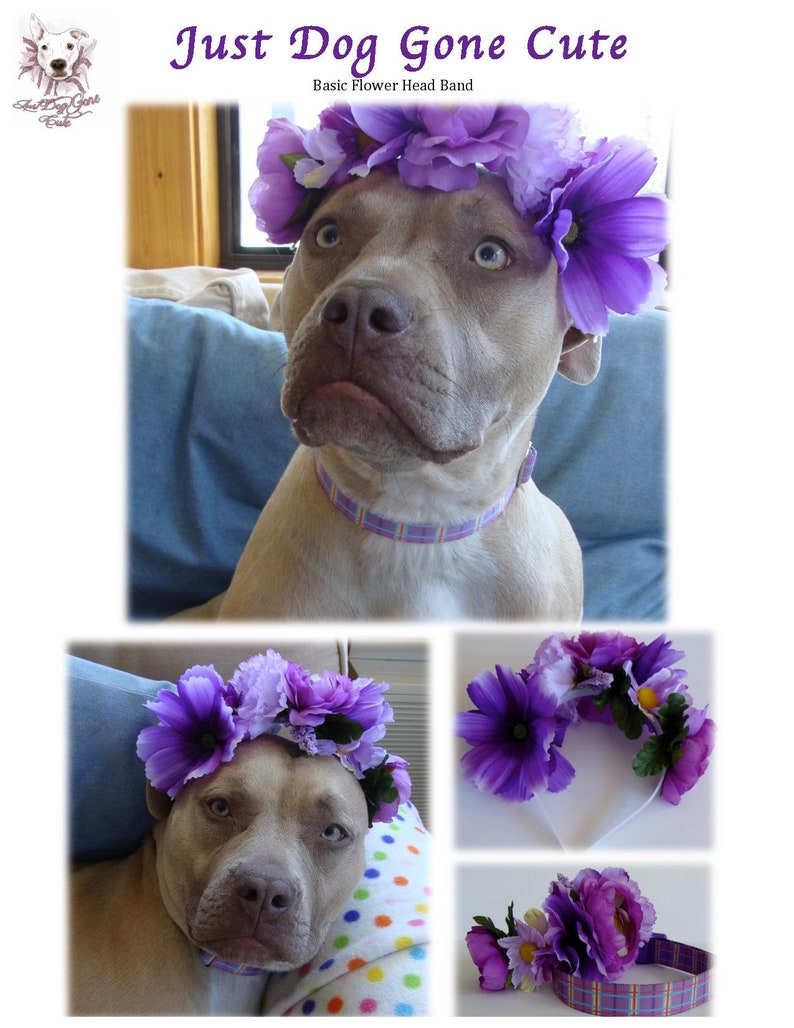 Made to Order 1.5 or 2 Wide Pink Chocolate Easter Bunny Dog Collar 1