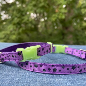 May include: Purple cat collar with black star print and a lime green buckle. The collar has a bell attached.