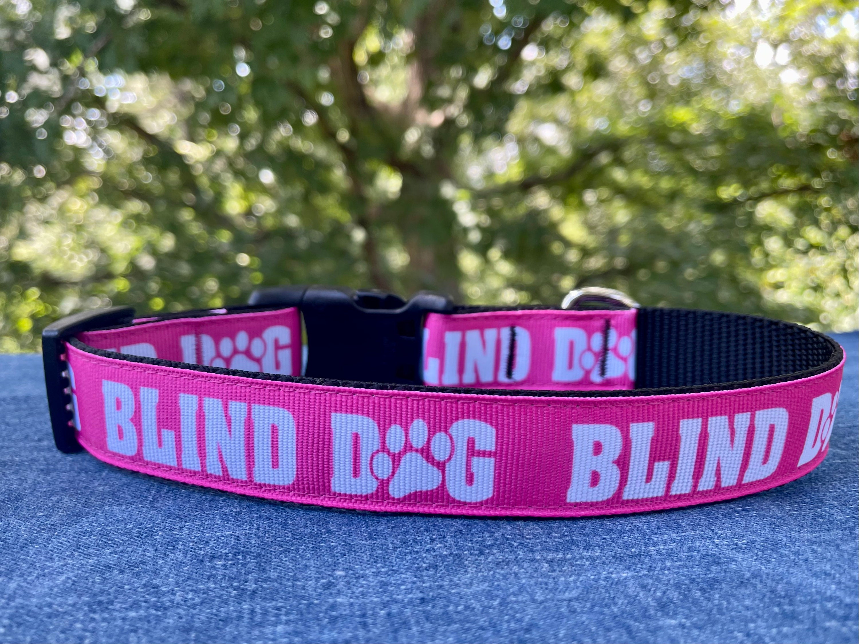 im blind dog harness