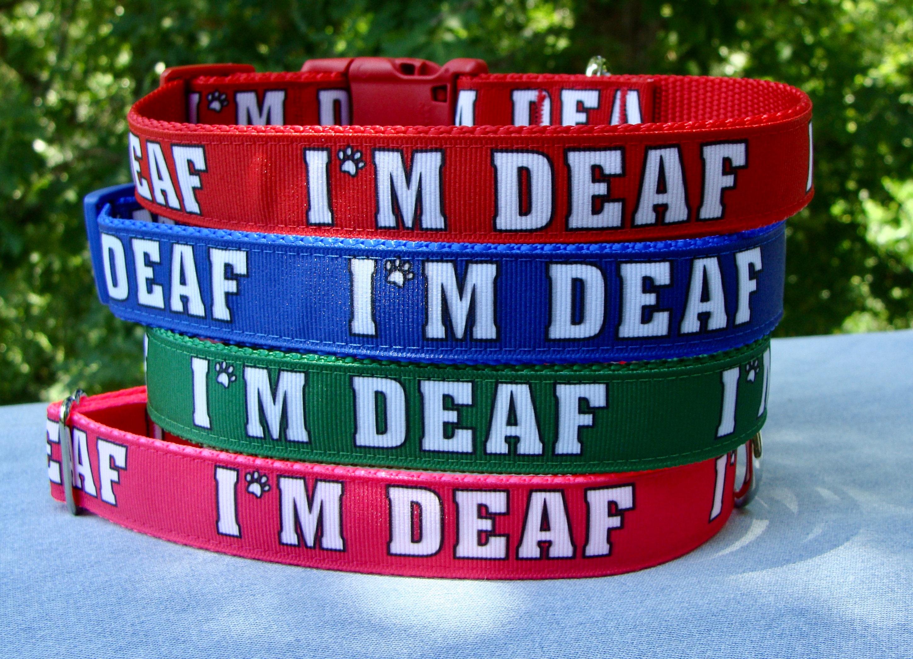 deaf dog collar
