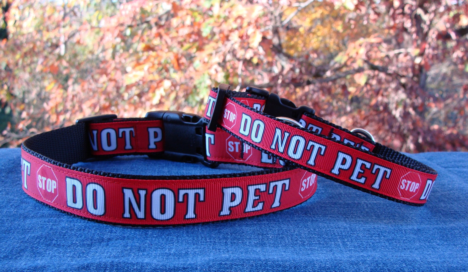 Stop Do Not Pet Red Dog Collar or Leash 5/8 XSmall Etsy