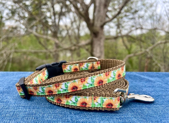 Sunflower Dog Collar or Leash 5/8