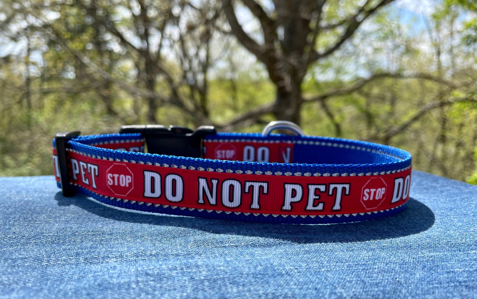 Reflective Blue Stop Do Not Pet Dog Collar READY TO SHIP Etsy