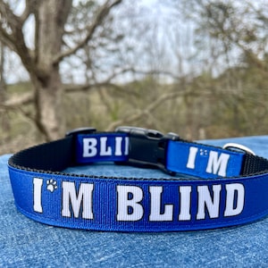 Blue Blind Dog Collar or Leash - Made to Order