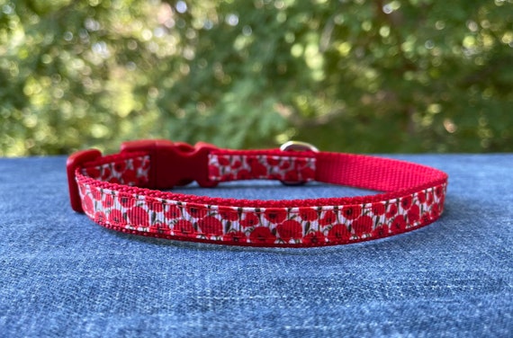 animal collars red kitten collar