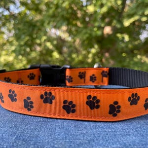 Puppy Paws Halloween Dog Collar 1&quot; wide - Ready to Ship!
