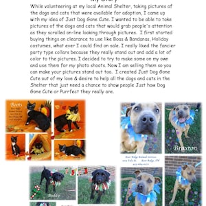 Country Brook Design® 7//8 Inch Rottweiler Grosgrain Ribbon