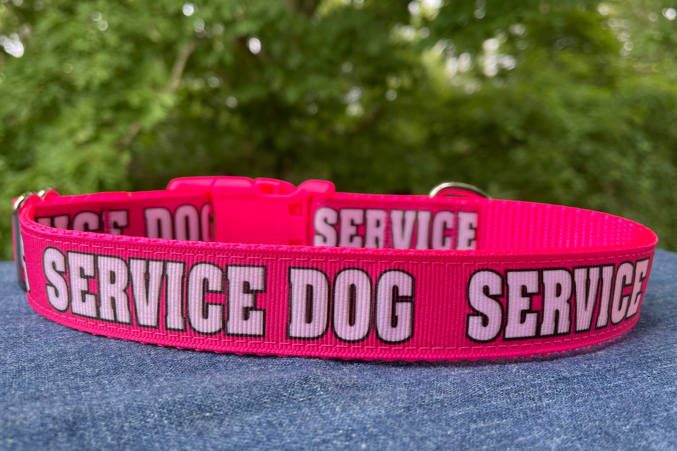 Pink Service Dog Collar or Leash Etsy