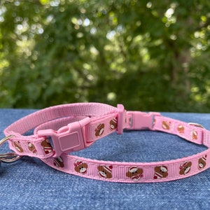 May include: Pink cat collar with a repeating pattern of brown teddy bears wearing Santa hats and red bows. The collar has a pink plastic buckle and a silver bell. The background is a blurred green and blue.