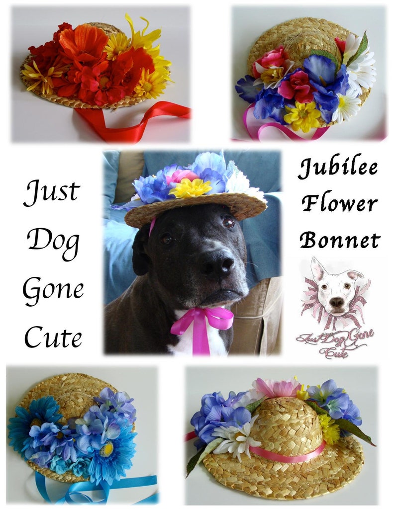 Made to Order 1.5 or 2 Wide Pink Chocolate Easter Bunny Dog Collar 1