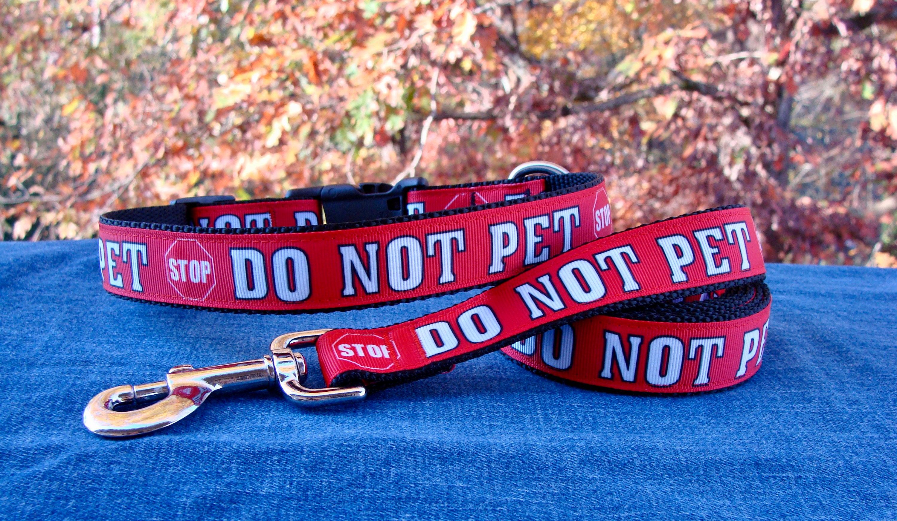 Nervous Dog, Please Do Not Pet Patch With VELCRO® Brand Hook Option Do Not Pet  Dog Patches 