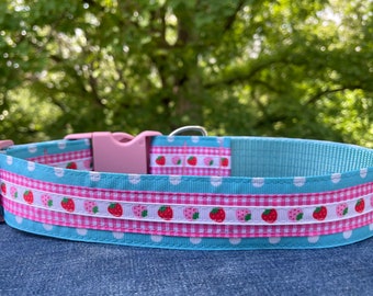 May include: A light blue dog collar with white polka dots and pink gingham ribbon with strawberry print. The collar has a pink plastic buckle.