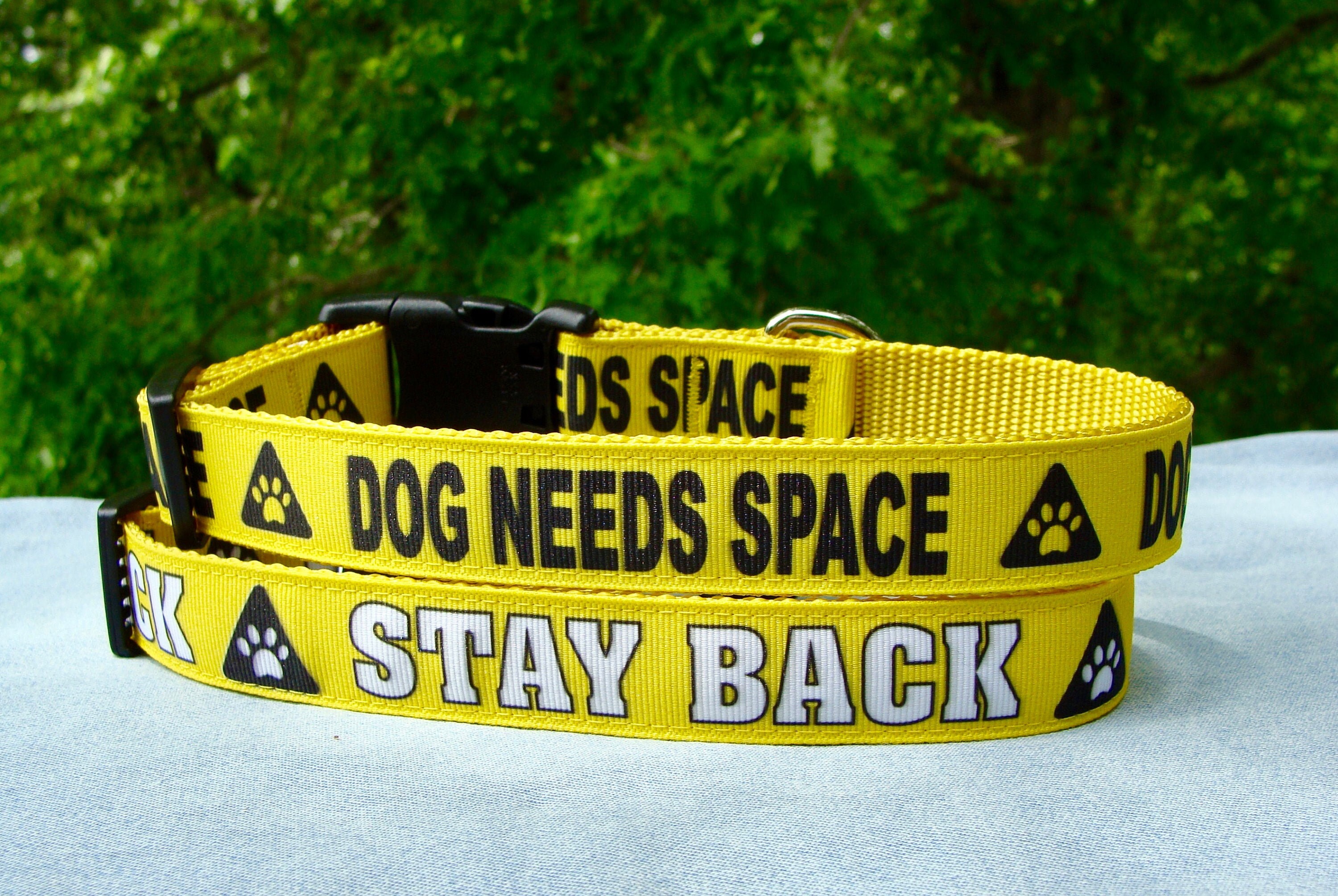 caution dog leash