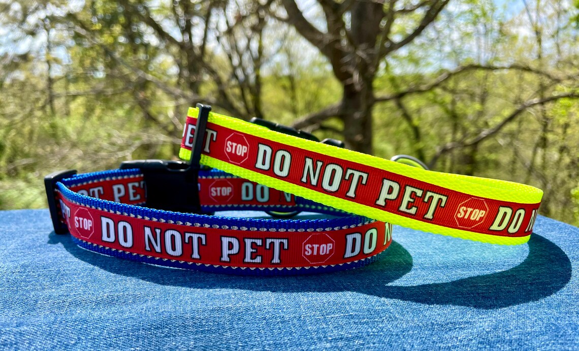 Reflective Blue Stop Do Not Pet Dog Collar READY TO SHIP Etsy