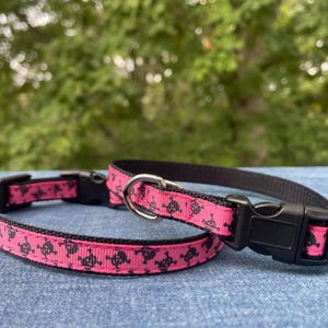 May include: Two pink dog collars with black skull and crossbones print. The collars have black adjustable buckles.