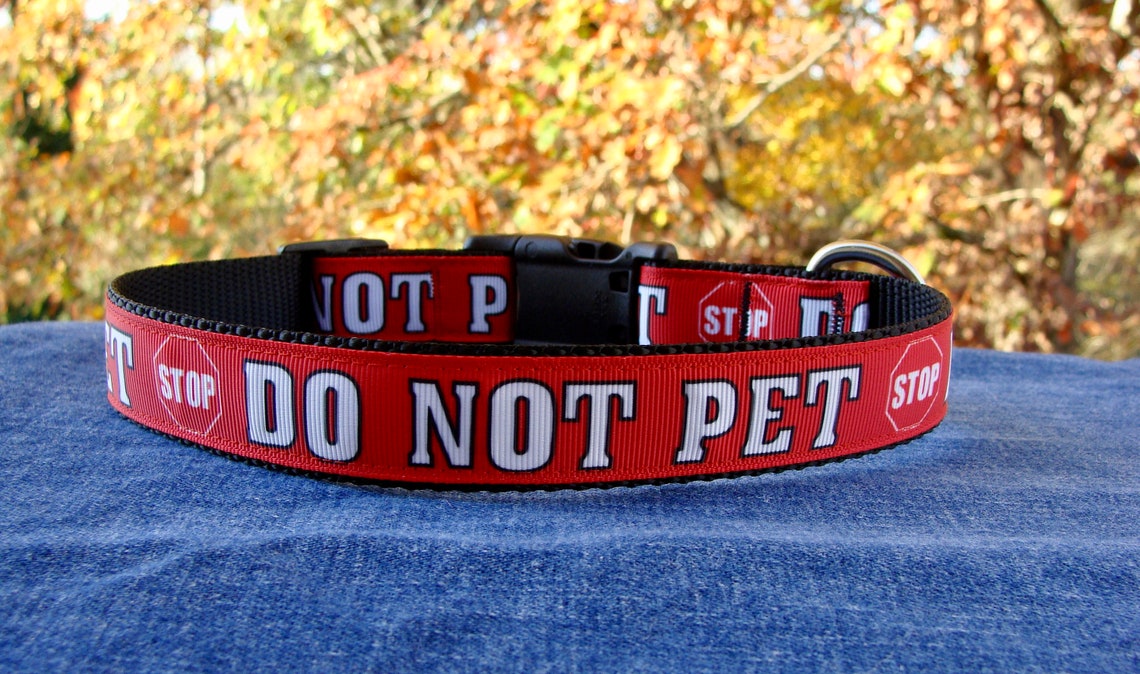 Stop Do Not Pet Red Dog Collar or Leash 5/8 XSmall Etsy