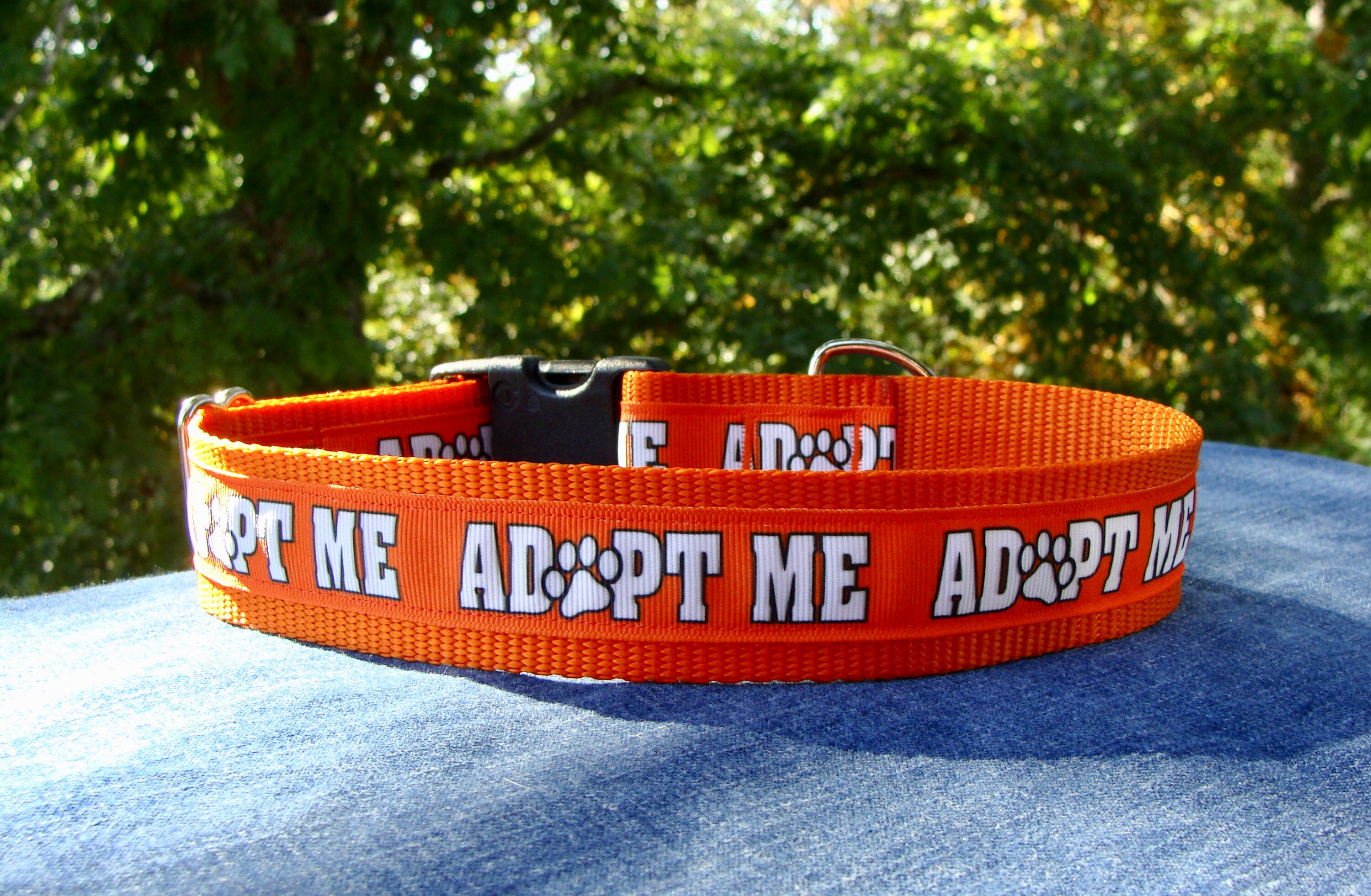 Orange ADOPT ME Dog Collar 1 1.5 Wide Martingale Etsy UK