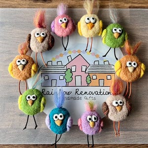 Può includere: Una collezione di nove ornamenti di uccelli in feltro di vari colori, tra cui arancione, giallo, verde, blu e viola. Ogni uccello ha un design unico e occhietti sporgenti. Gli uccelli sono disposti in cerchio su una superficie bianca con il testo "Rainbow Renovation Handmade Gifts" al centro.