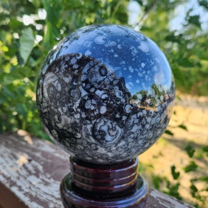 Large Fossil Sphere, 114 mm, Crinoid Sphere, Orthoceras Sphere, Gastropod Sphere, Stone Crystal Sphere
