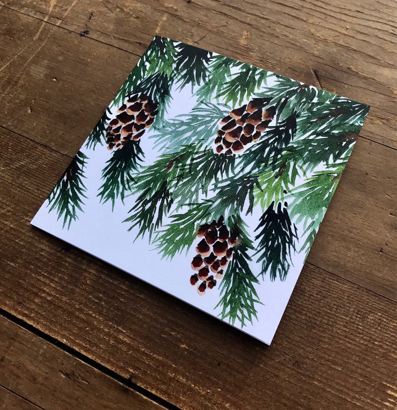 10 Pine Christmas cards, cone, pack of artist greetings cards, set, Watercolour, botanical, green, spruce, recycled, winter image 4