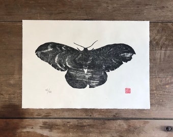 Moth woodblock print, limited edition, large woodcut, water, nature, printmaking,  wood wall art, wood grain, original artwork