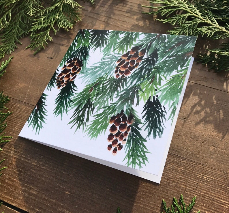 10 Pine Christmas cards, cone, pack of artist greetings cards, set, Watercolour, botanical, green, spruce, recycled, winter image 3