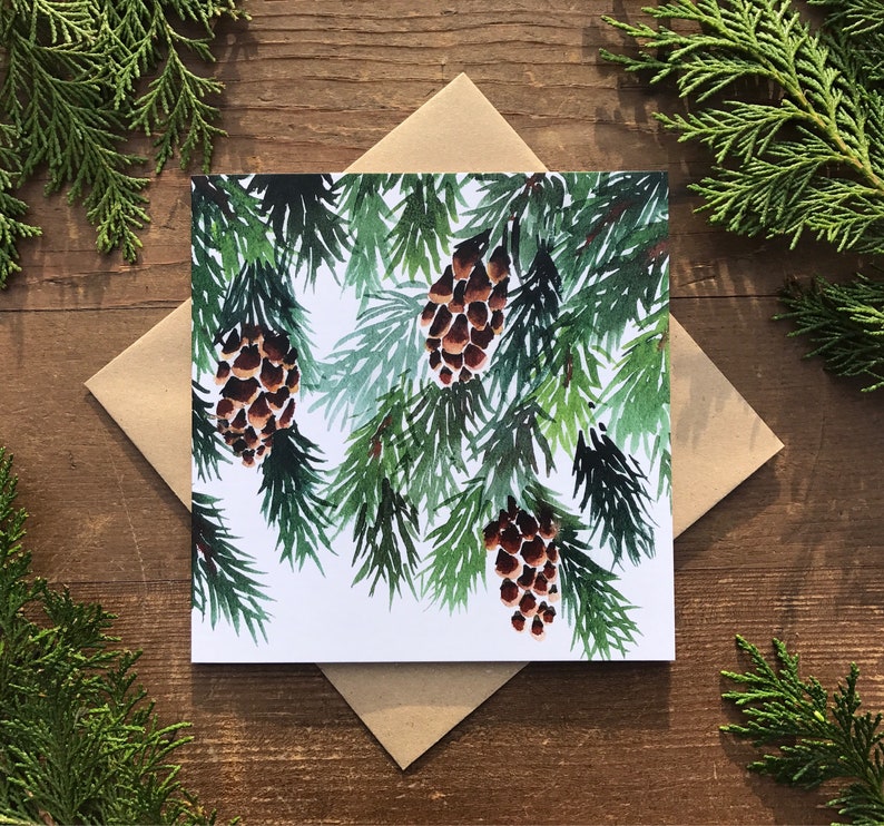 10 Pine Christmas cards, cone, pack of artist greetings cards, set, Watercolour, botanical, green, spruce, recycled, winter image 1