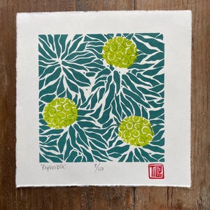 Euphorbia woodcut print, Japanese woodblock print, printmaking, leaves, flowers, printmaking, block print, green
