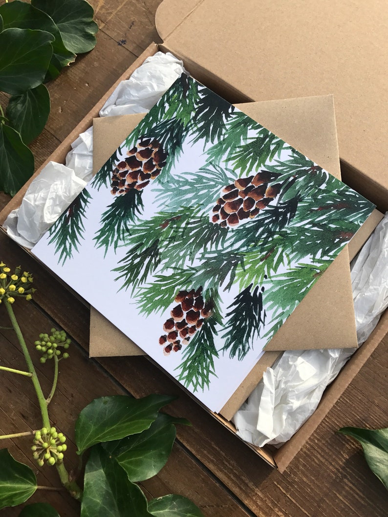 10 Pine Christmas cards, cone, pack of artist greetings cards, set, Watercolour, botanical, green, spruce, recycled, winter image 2