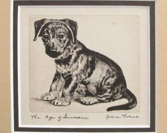 1936 Matted Dog Print, Diana Thorne "Age of Innocence" Dog Etchings - Puppy art, Dog Wall Art, Vintage Dog Lover Gift