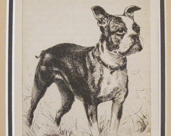 1936 Matted Dog Print, Diana Thorne "Made in America" Boston Terrier Dog Etchings - Puppy art, Dog Wall Art, Vintage Dog Lover Gift
