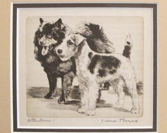 1936 Matted Dog Print, Diana Thorne "Attention!" Dog Etchings - Puppy art, Dog Wall Art, Vintage Dog Lover Gift