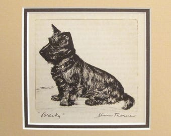1936 Matted Dog Print, Diana Thorne "Brecky" Scottish Terrier Dog Etchings - Puppy art, Dog Wall Art, Vintage Dog Lover Gift