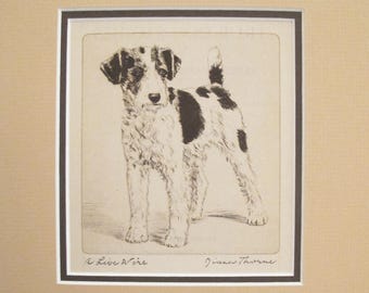1936 Matted Dog Print, Diana Thorne "A Live Wire" Wire Fox Terrier Dog Etchings - Puppy art, Dog Wall Art, Vintage Dog Lover Gift