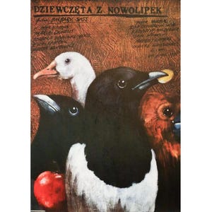 1985 Polish Movie poster, Dziewczeta Z Nowolipek (Girls From Nowolipki), Andrzej Pagowski