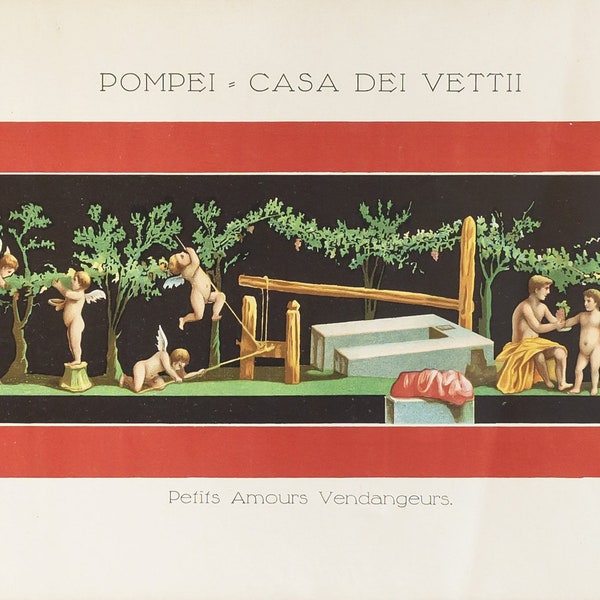 1900 Antique Italian  Label, Pompei, Casa Dei Vettii, Petits Amours Vendangeurs (Cherubs at play)